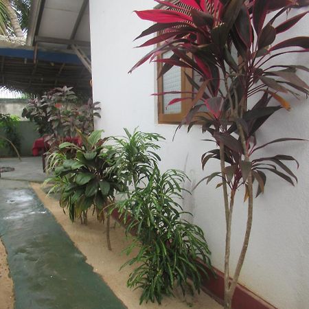 Julie Guest House Tangalle Exteriér fotografie