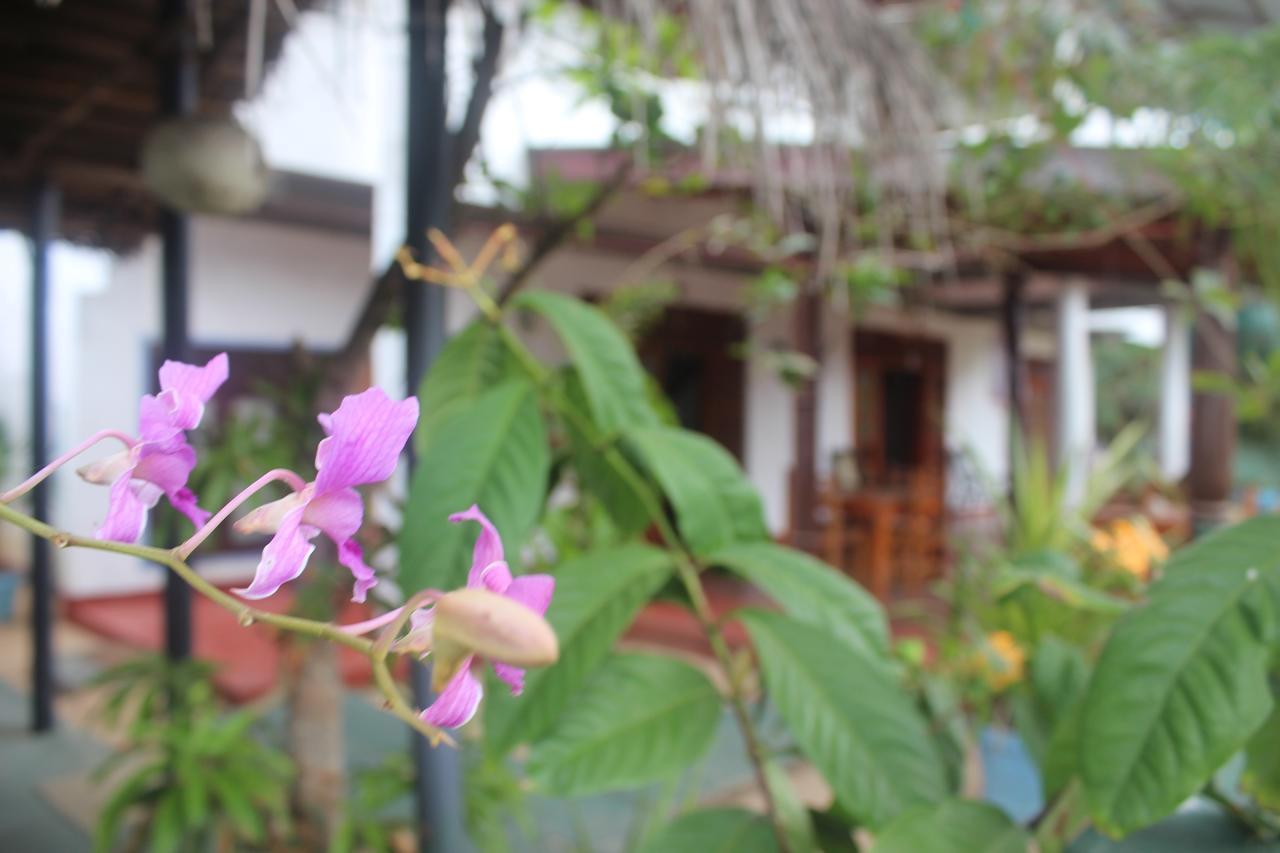 Julie Guest House Tangalle Exteriér fotografie
