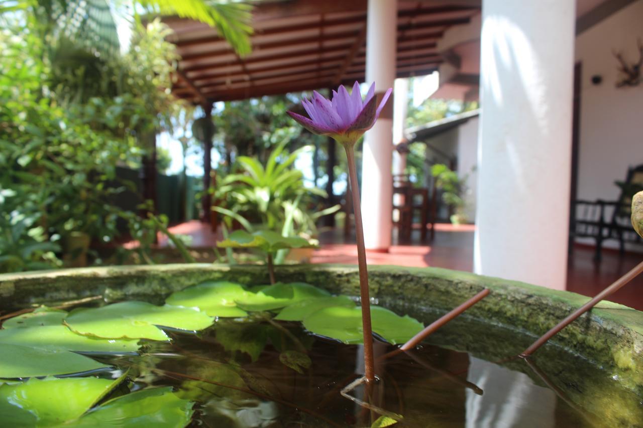 Julie Guest House Tangalle Exteriér fotografie