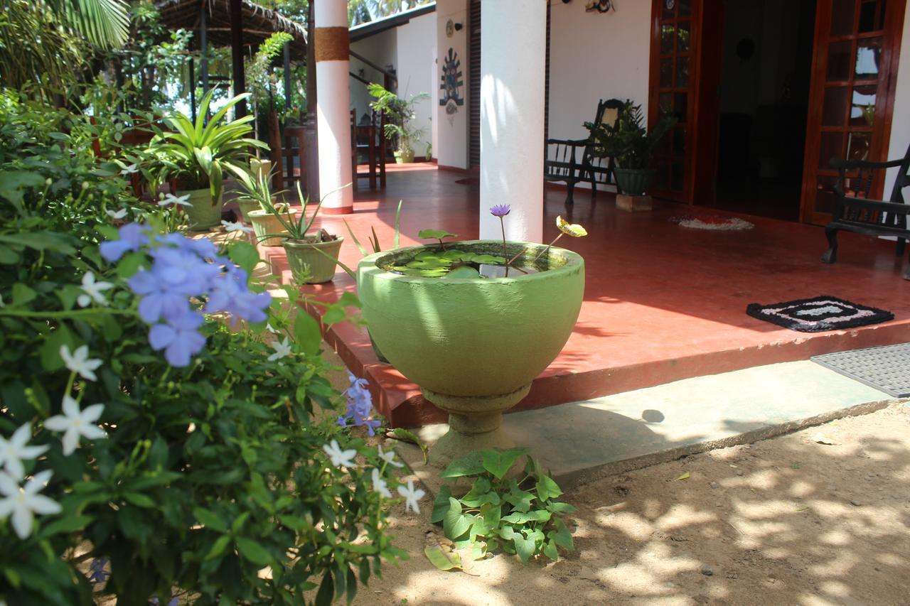 Julie Guest House Tangalle Exteriér fotografie