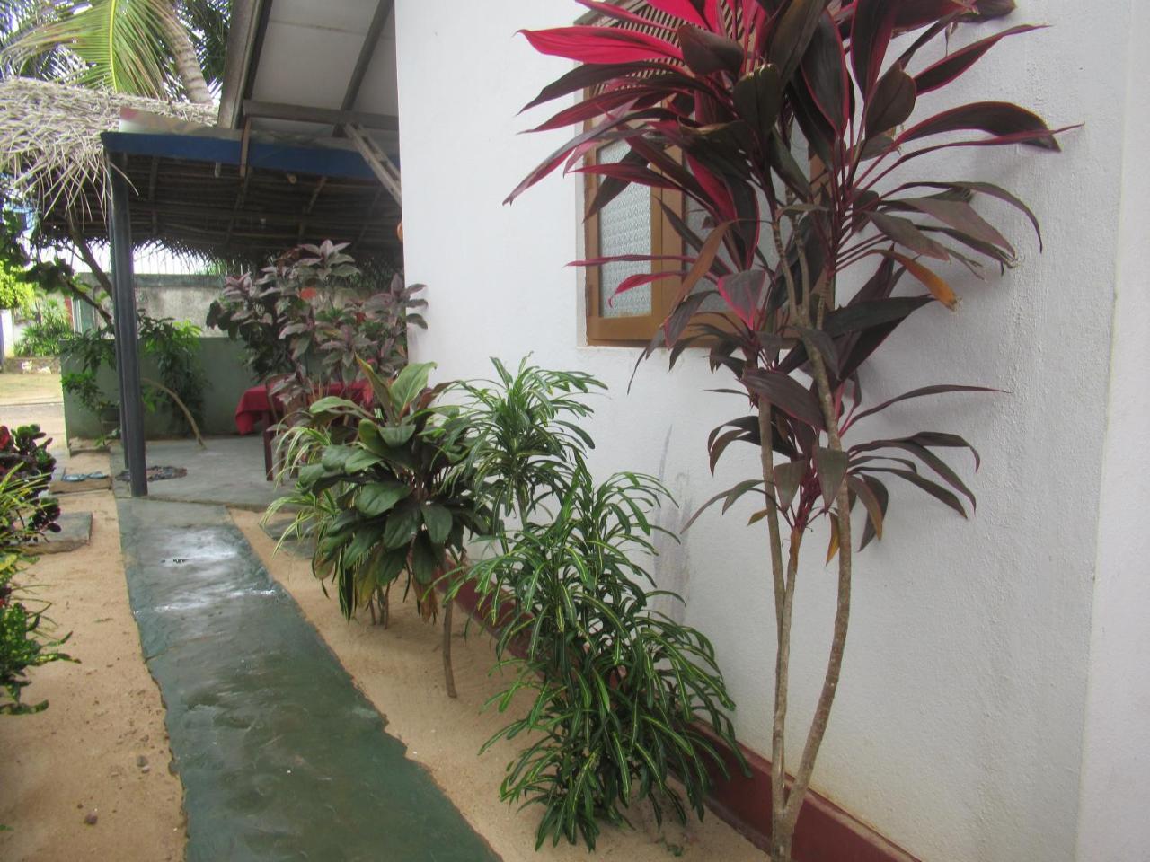 Julie Guest House Tangalle Exteriér fotografie