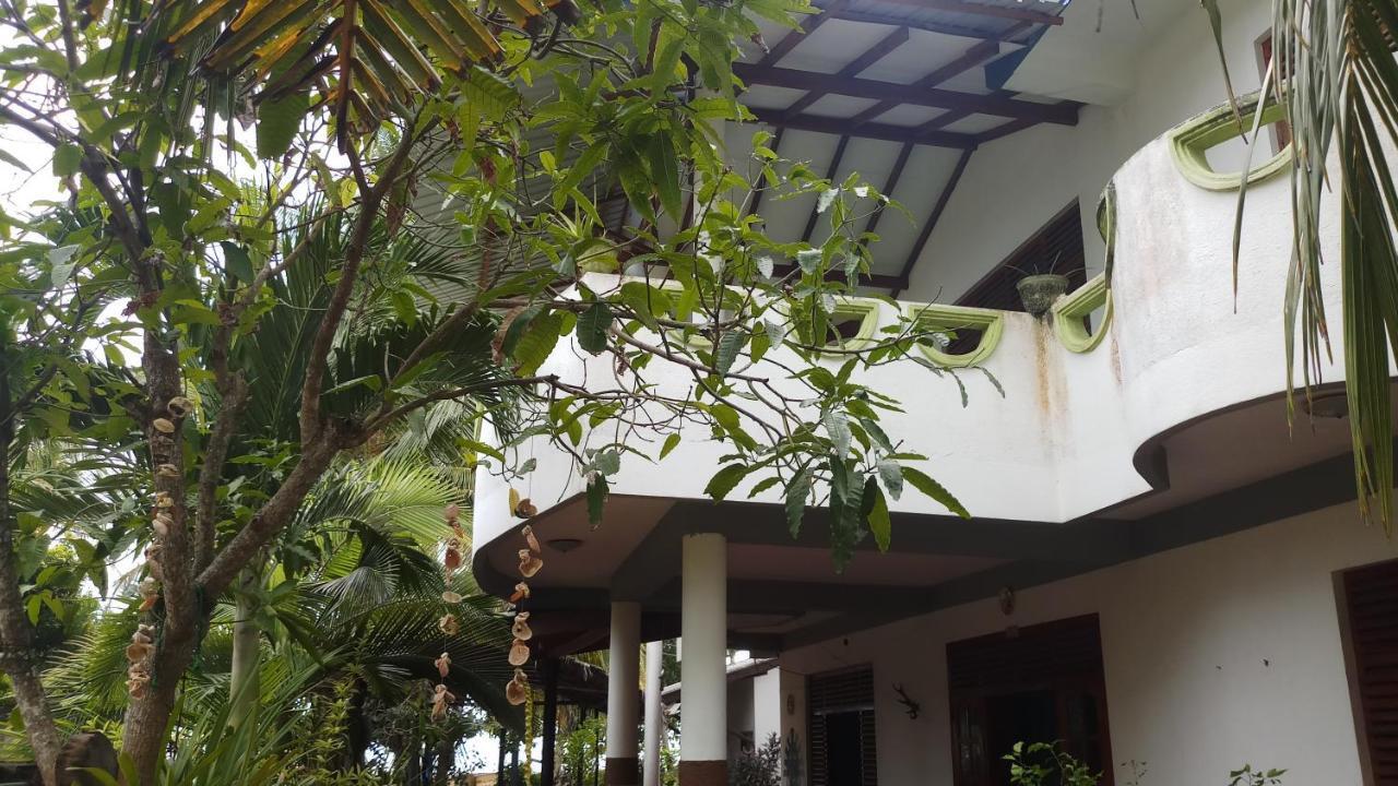 Julie Guest House Tangalle Exteriér fotografie